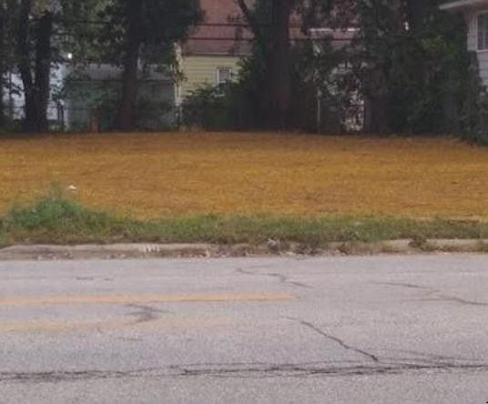2nd image of 19215 Harvard Rd