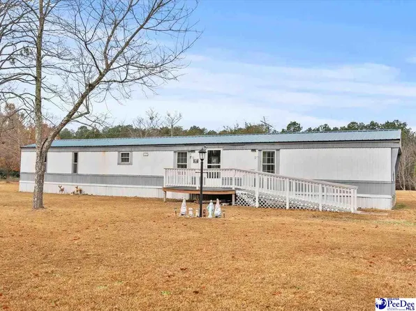 3231 Rocky Ridge Rd, Wallace, SC 29596