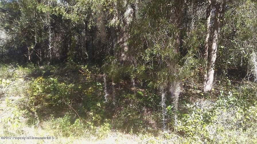 2nd image of 9427 Grouse Way