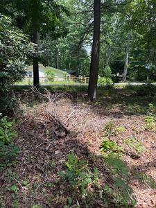 99999 Laurel Ln #2, Black Mountain, NC, 28711