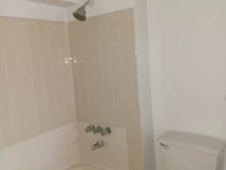 156-41 77th St #1 — Photo 7