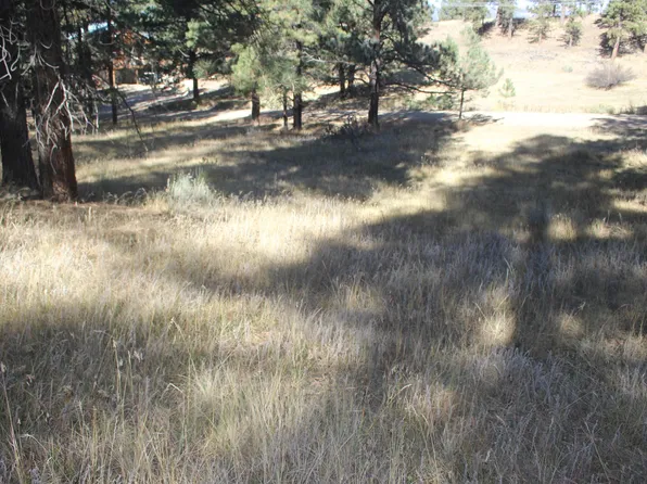 41 Valley Rd, Angel Fire, NM 87710