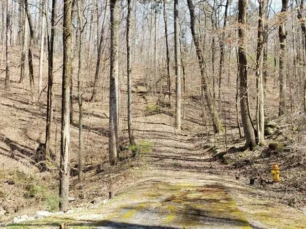 Northwoods Trl, Gadsden, AL 35901