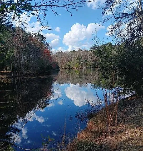 the beautiful stocked pond