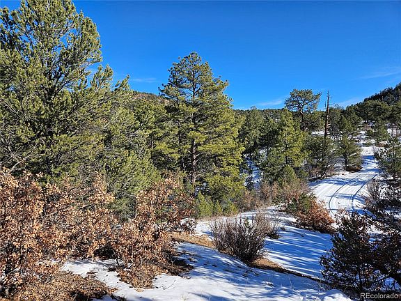 4th image of 000 43rd Trail