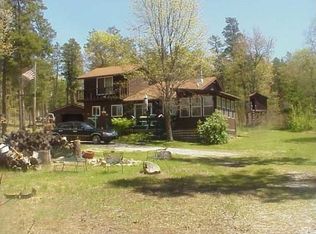 2917 S Horseshoe Trl, Grayling, MI 49738
