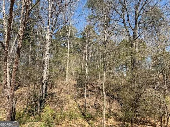 0 Jack Pittman Rd, Dacula, GA 30019