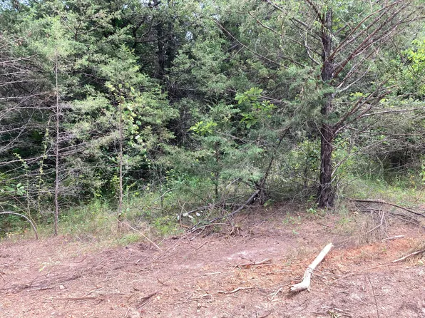 Lot 20 Pepe, Fair Grove, MO 65648