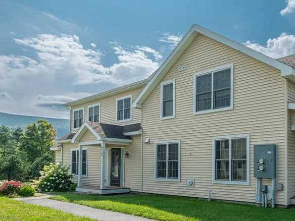 213 East Branch Farm Drive #19, Manchester, VT 05255