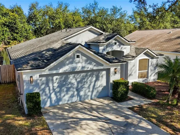 4710 Little Denise Ct, Valrico, FL 33594