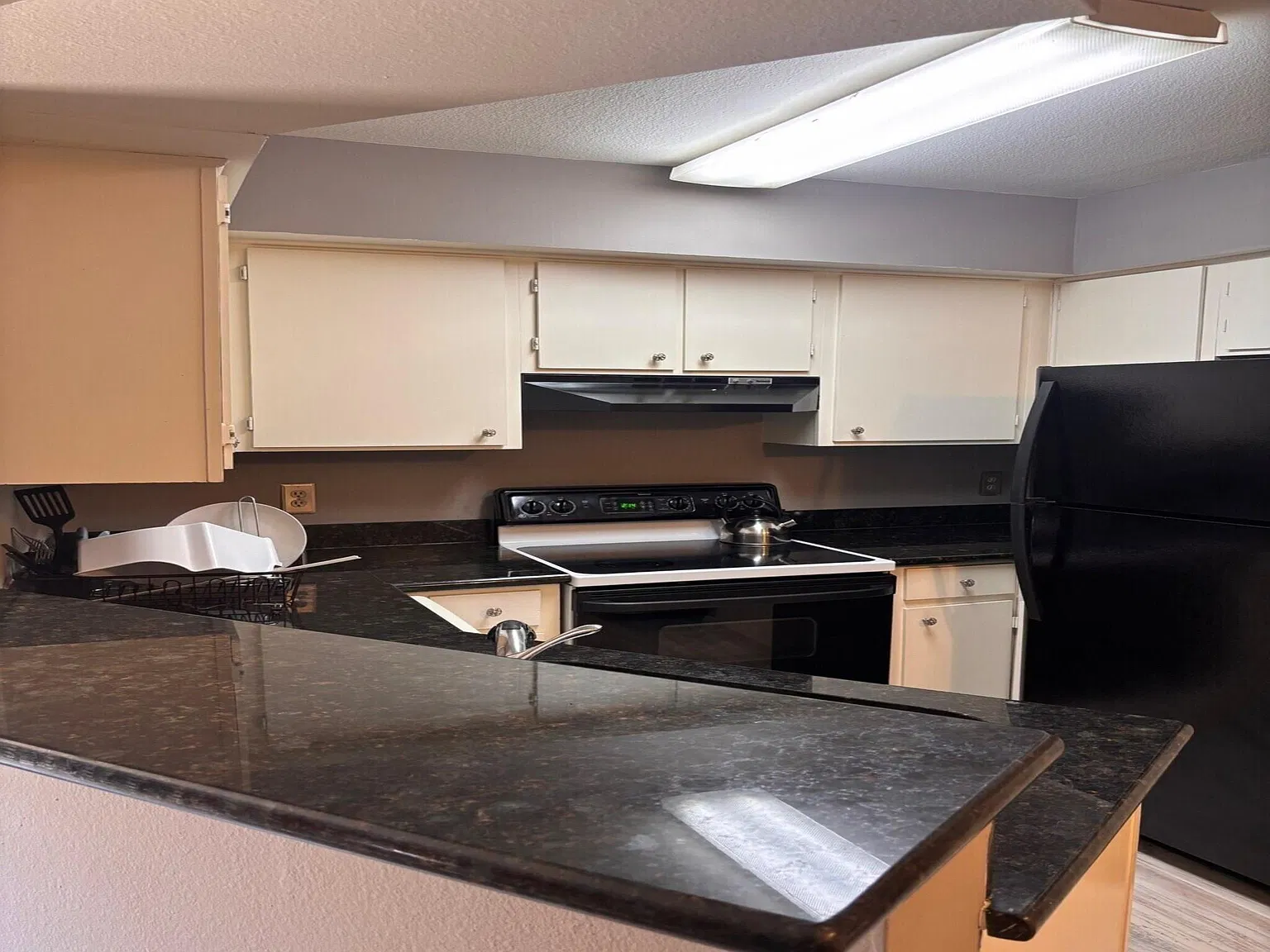 1 bed, 1.0 bath, 664 sqft, $950 — Photo 3