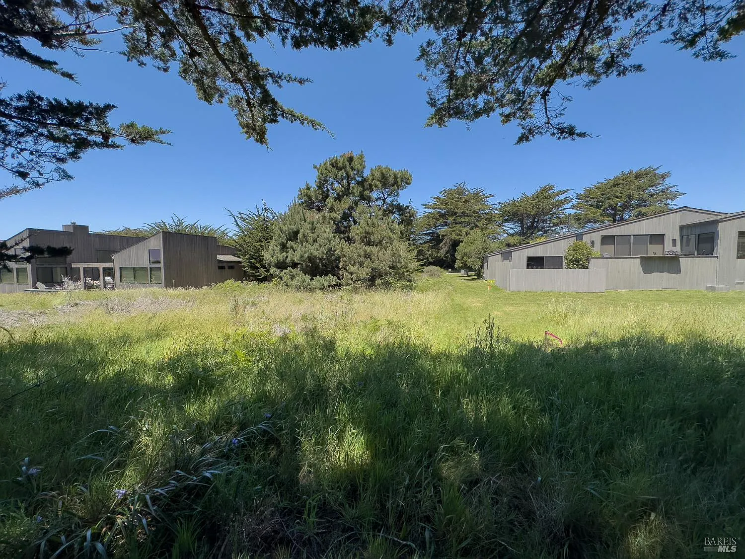 41889 Leeward Road - Photo 2