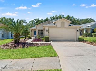 11078 Heathrow Ave, Spring Hill, FL 34609