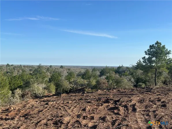 Tbd Sandy Fork Rd, Harwood, TX 78632