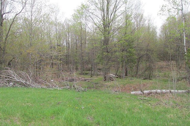 2nd image of 68 McEwen Rd