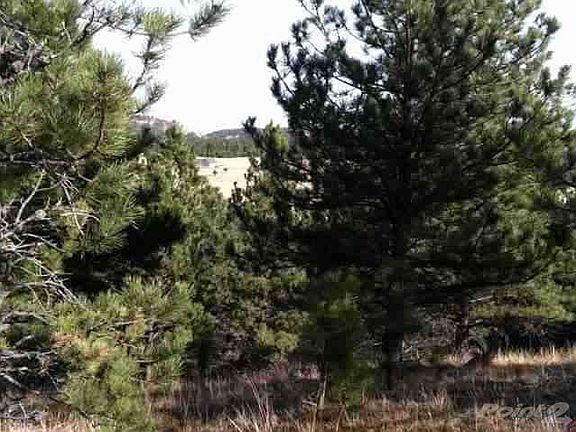 BLACKHILLS106918C[1]