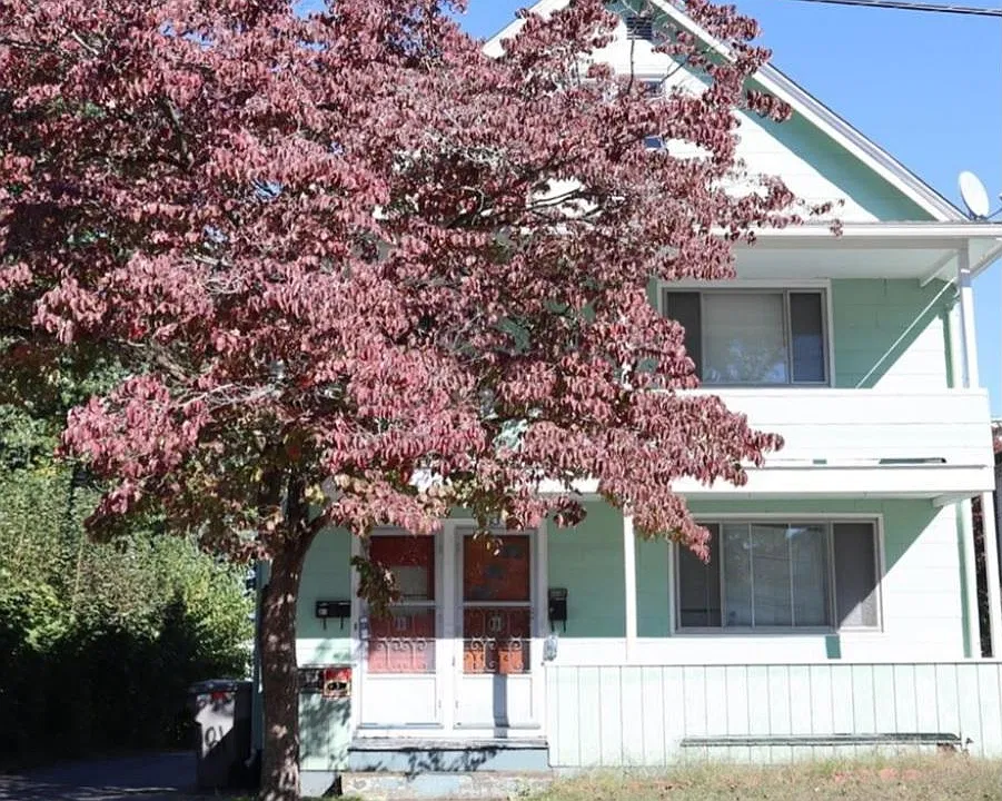 81 Pratt St #1