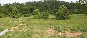 2nd image of 811 County Road Foxwood Lot 18