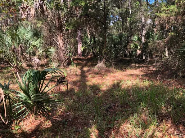 4.53 acr NW 25th St, Chiefland, FL 32626