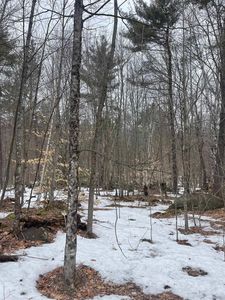 Lot 13-9 E Washington Road, Washington, NH, 03280