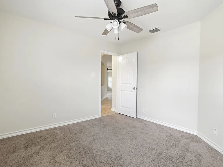 15441 Cooks Petrel — Photo 15