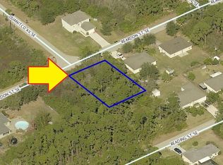 824 Reardon St SE, Palm Bay, FL 32909