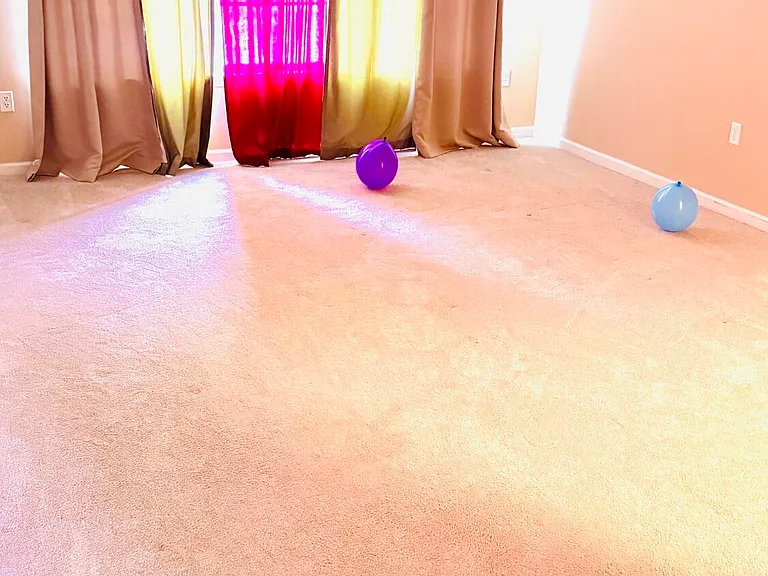 1091 Morning Glory Dr #1091 — Photo 17
