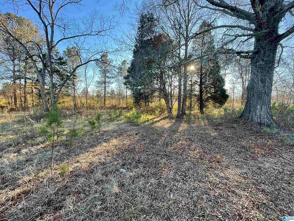 2nd image of 3480 Highway 28 #1