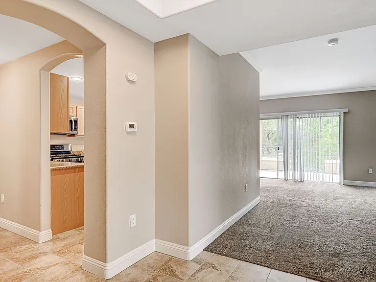 821 Titan Peak Pl #204 — Photo 5
