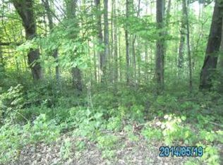 Tbd Howard Gouge Rd, Unicoi, TN 37692