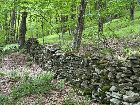 Woodland Hills Rd #12, Andes, NY 13731