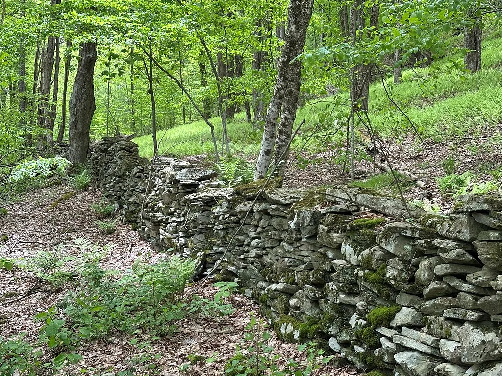 Woodland Hills Rd #12 photo 1