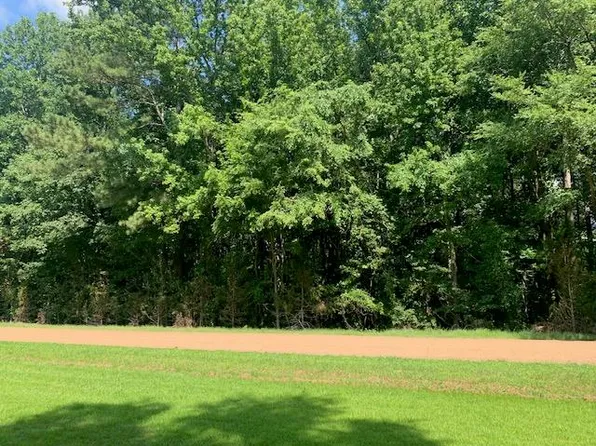 0 Van Dyke Rd, Paris, TN 38242