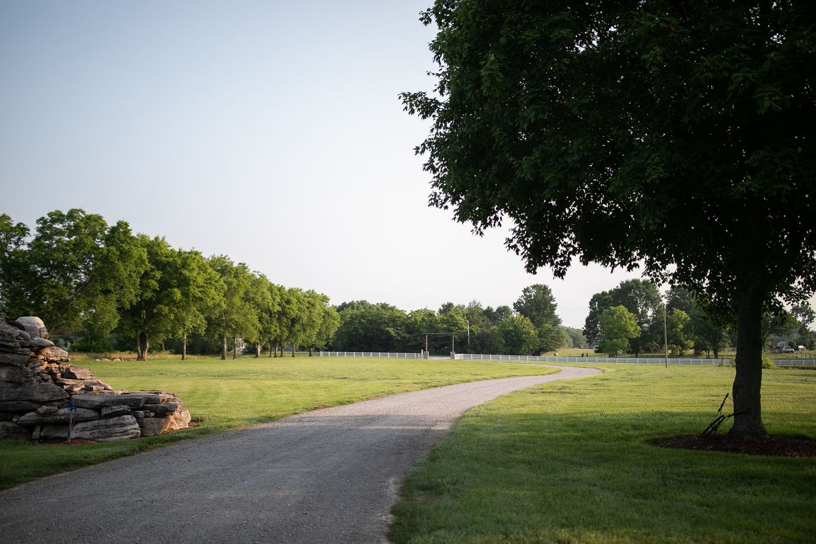 next background image