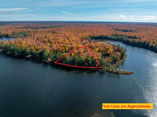 E16916 Nevins Lake Rd, Shingleton, MI 49884