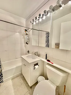 Rented by NY Living Solutions | media 29