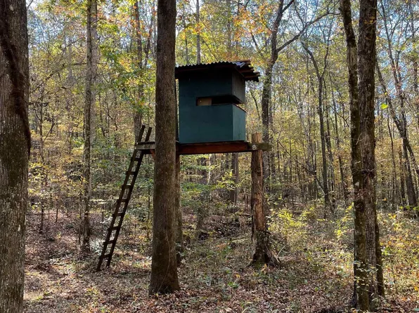 16801 County Road 14, Waterloo, AL 35677