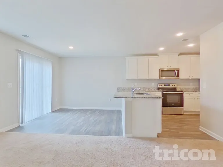 384 Frank Burns Way — Photo 4