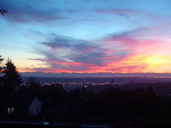 View from Living Room Window