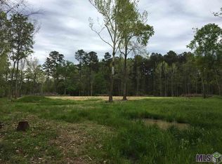 14460 Salt Dome Rd, Walker, LA 70785