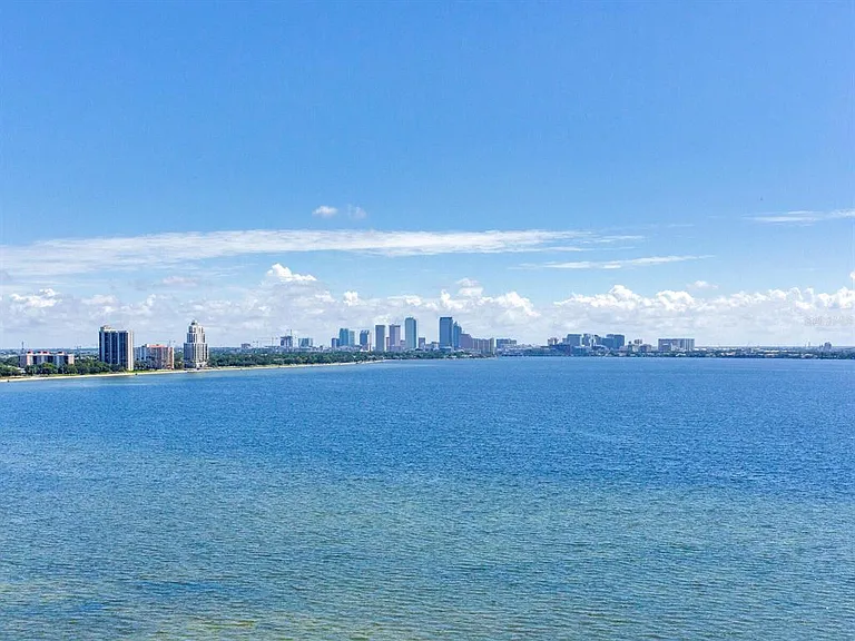 3507 Bayshore Blvd #1202 — Photo 62