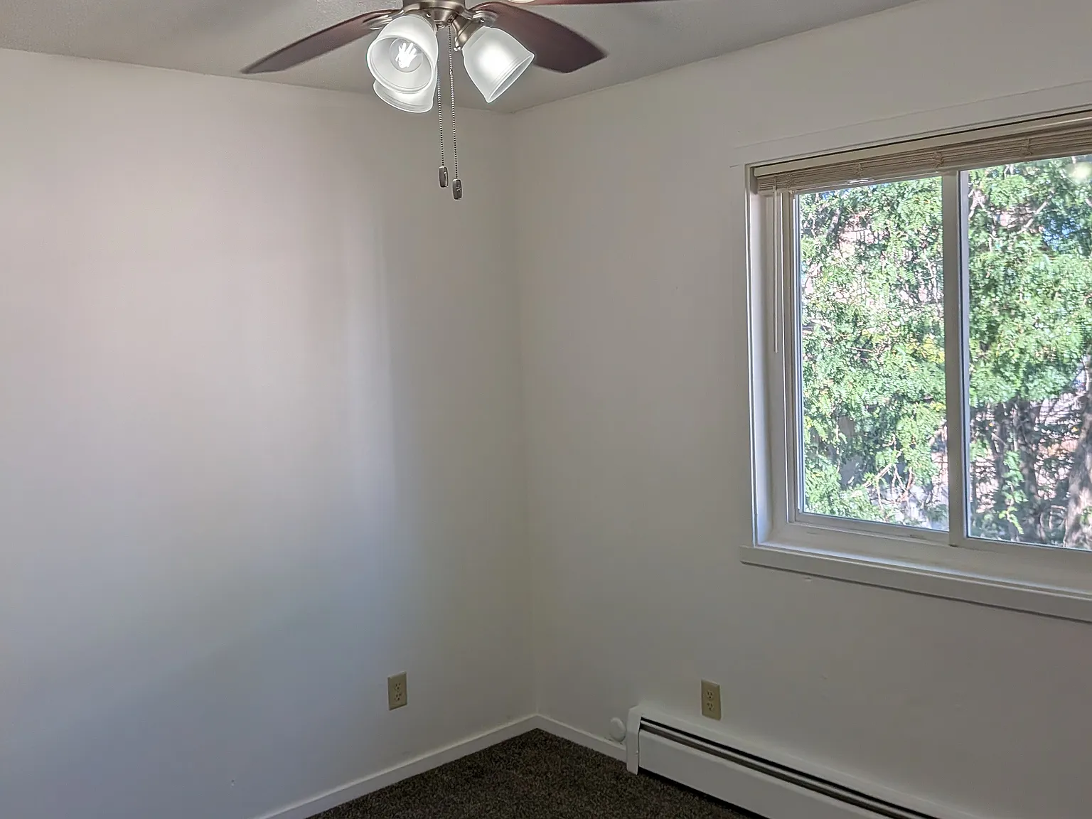 1 bed, 550 sqft, $750 — Photo 4