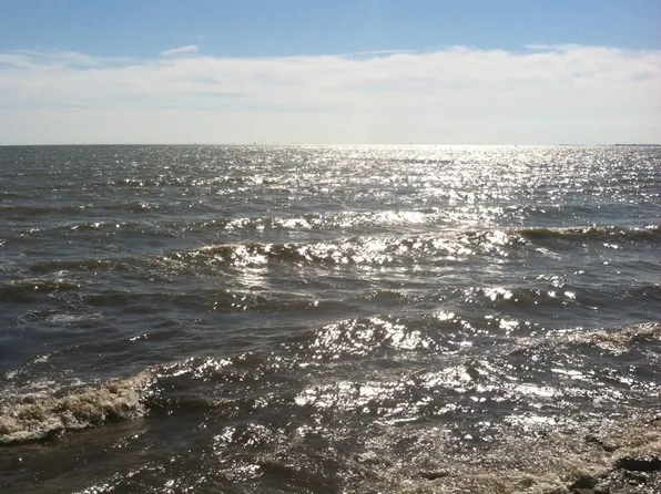 4355 S 10th St, Luna Pier, MI 48157