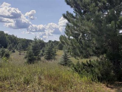 Tucker Rd, Alba, MI, 49611