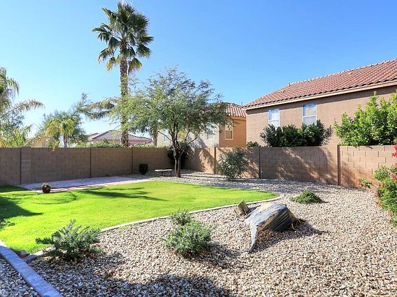 Backyard2