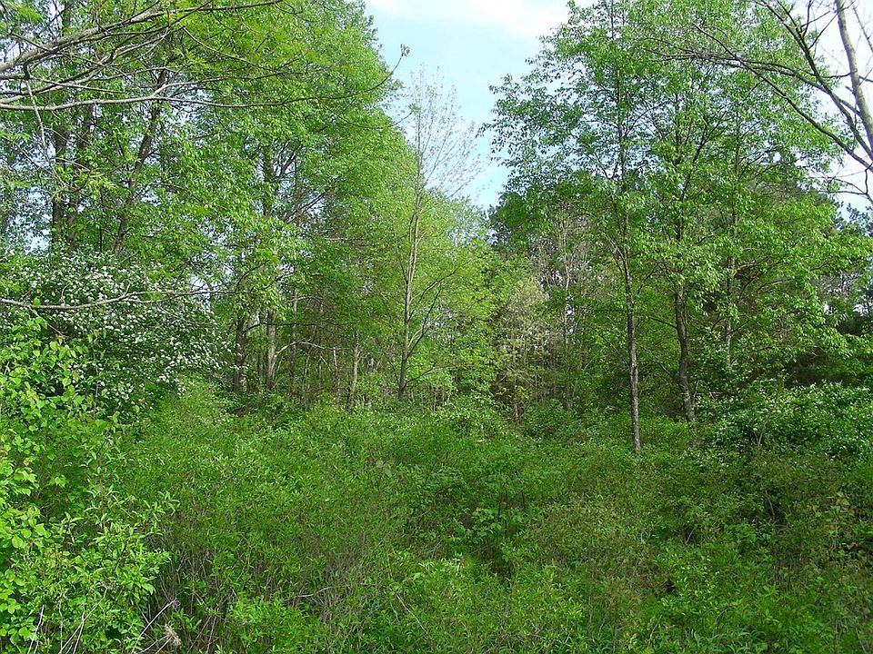 2nd image of Maplecrest Way