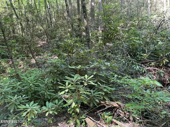 LOT 7 Sycamore St, Sevierville, TN 37876