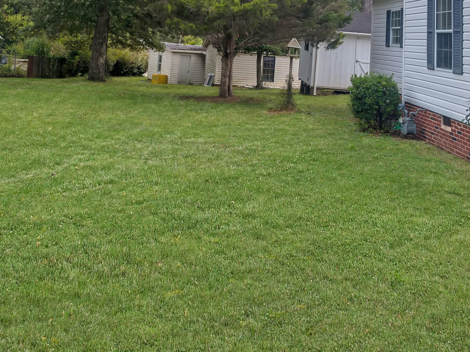 3 bed, 1.5 bath, 1266 sqft, $1,250 — Photo 3