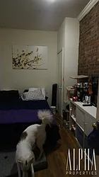 Rented by Alpha Properties NYC I LLC