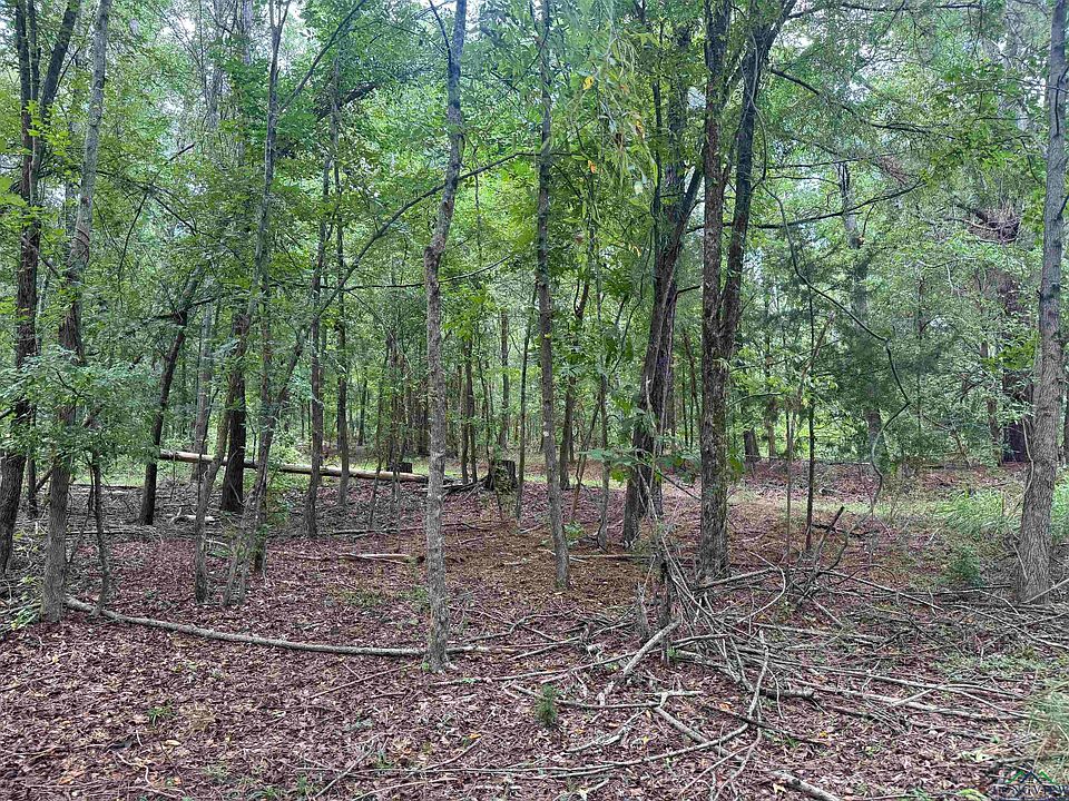 2nd image of 1748 Fm 1252 W